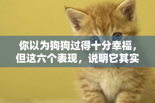 你以為狗狗過得十分幸福，但這六個表現，說明它其實生活在恐懼中
