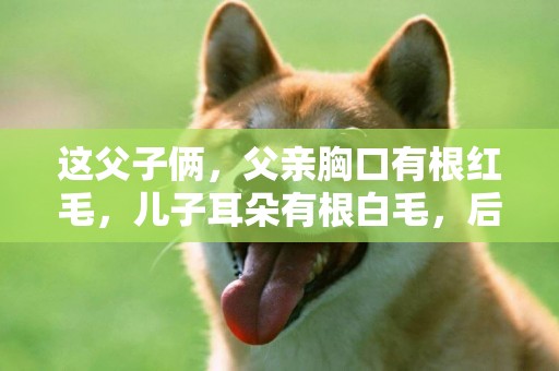 這父子倆，父親胸口有根紅毛，兒子耳朵有根白毛，后來都成了皇帝