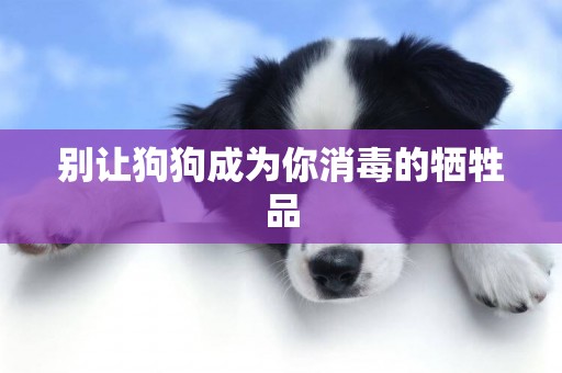 別讓狗狗成為你消毒的犧牲品