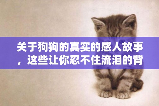 關于狗狗的真實的感人故事，這些讓你忍不住流淚的背后故事！