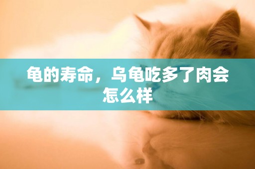 龜的壽命，烏龜吃多了肉會怎么樣