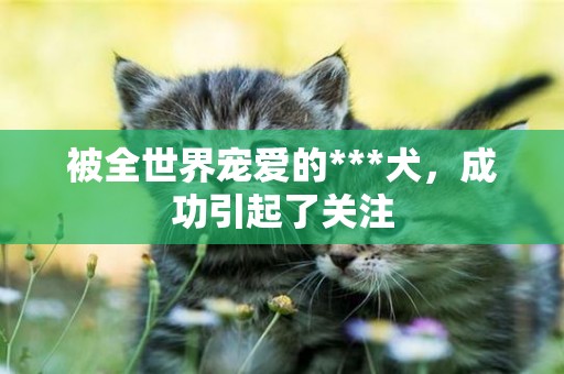 被全世界寵愛的***犬，成功引起了關注