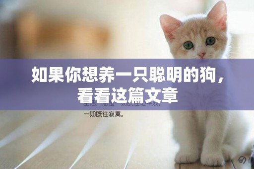 如果你想養一只聰明的狗，看看這篇文章