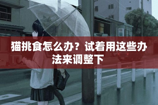 貓挑食怎么辦？試著用這些辦法來調整下 