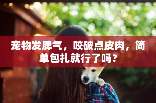 寵物發脾氣，咬破點皮肉，簡單包扎就行了嗎？
