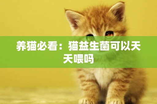 養貓必看：貓益生菌可以天天喂嗎