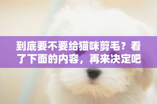 到底要不要給貓咪剪毛？看了下面的內容，再來決定吧！
