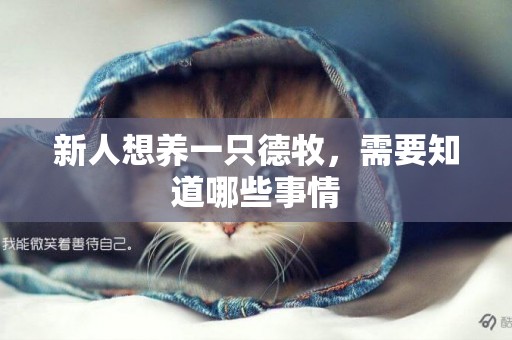 新人想養一只德牧，需要知道哪些事情