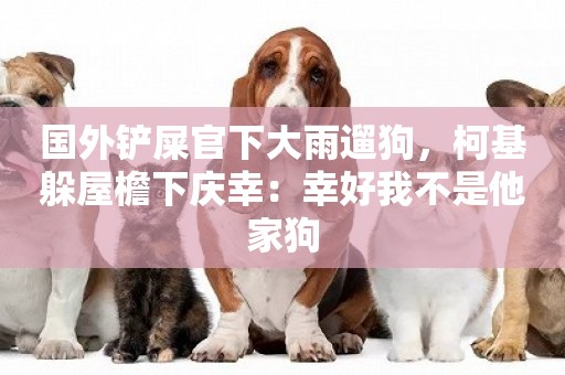 國外鏟屎官下大雨遛狗，柯基躲屋檐下慶幸：幸好我不是他家狗