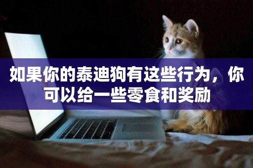 如果你的泰迪狗有這些行為，你可以給一些零食和獎勵