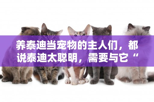 養泰迪當寵物的主人們，都說泰迪太聰明，需要與它“斗智斗勇”