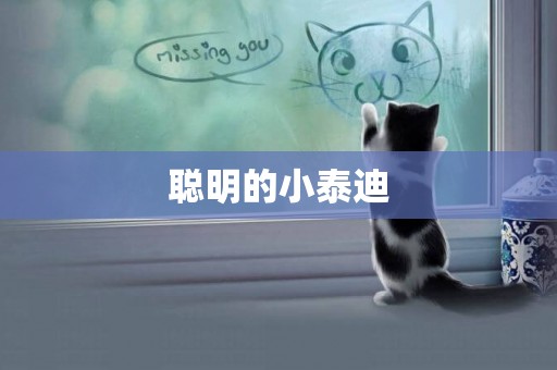 聰明的小泰迪