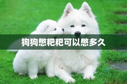 狗狗憋粑粑可以憋多久