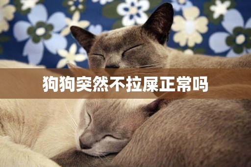 狗狗突然不拉屎正常嗎