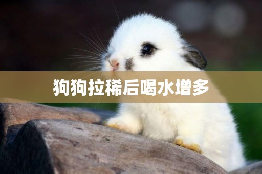 狗狗拉稀后喝水增多