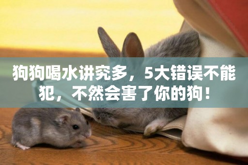 狗狗喝水講究多，5大錯誤不能犯，不然會害了你的狗！
