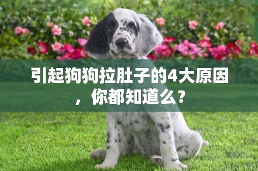 引起狗狗拉肚子的4大原因，你都知道么？