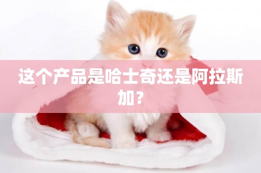 這個產品是哈士奇還是阿拉斯加？