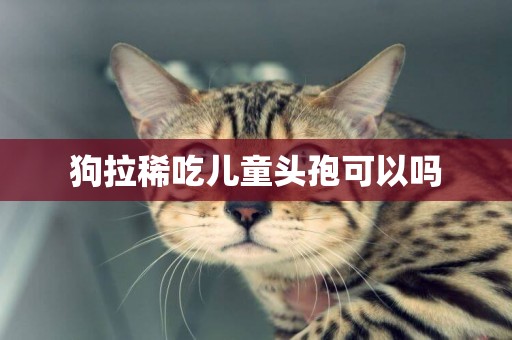 狗拉稀吃兒童頭孢可以嗎