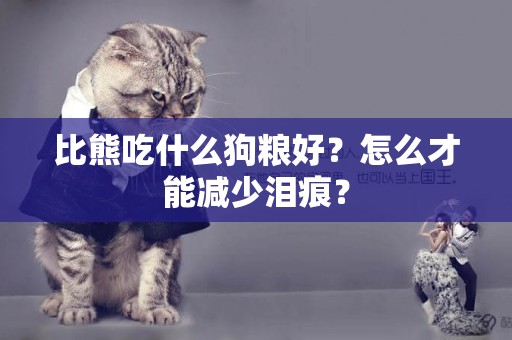 比熊吃什么狗糧好？怎么才能減少淚痕？