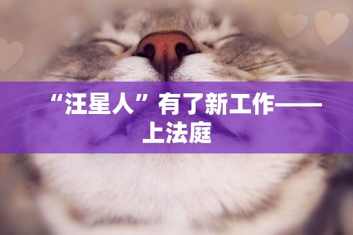 “汪星人”有了新工作——上法庭