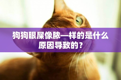 狗狗眼屎像膿―樣的是什么原因導致的？