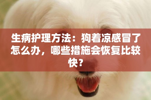 生病護理方法：狗著涼感冒了怎么辦，哪些措施會恢復比較快？