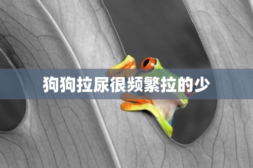 狗狗拉尿很頻繁拉的少