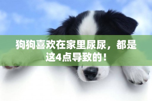 狗狗喜歡在家里尿尿，都是這4點導致的！