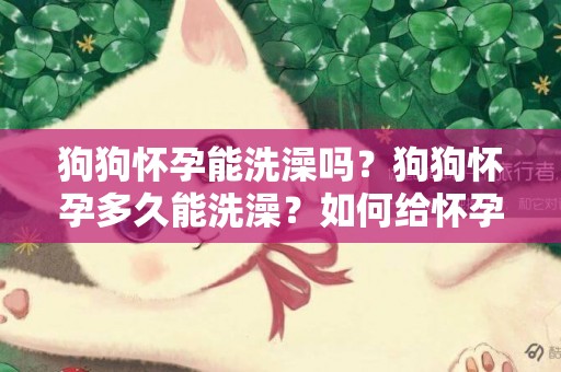 狗狗懷孕能洗澡嗎？狗狗懷孕多久能洗澡？如何給懷孕的狗洗澡？