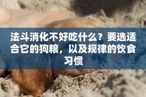 法斗消化不好吃什么？要選適合它的狗糧，以及規律的飲食習慣