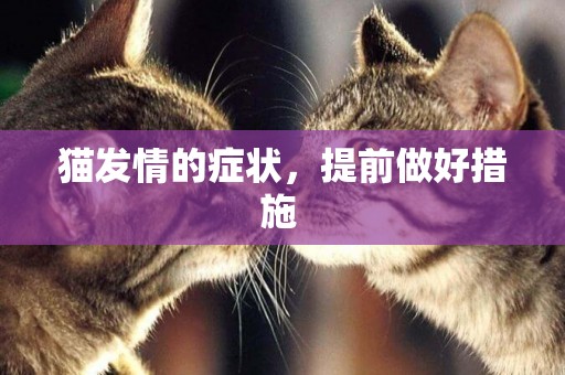 貓發情的癥狀，提前做好措施 