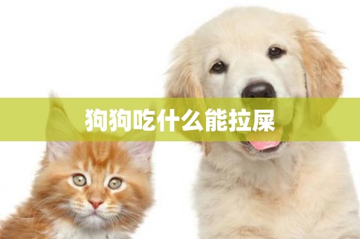 狗狗吃什么能拉屎