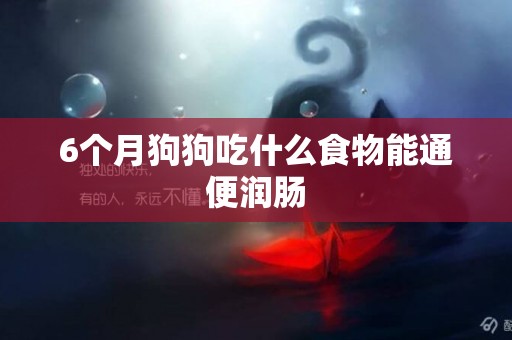 6個月狗狗吃什么食物能通便潤腸