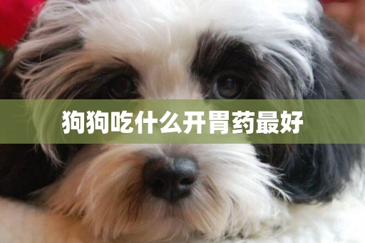 狗狗吃什么開胃藥最好