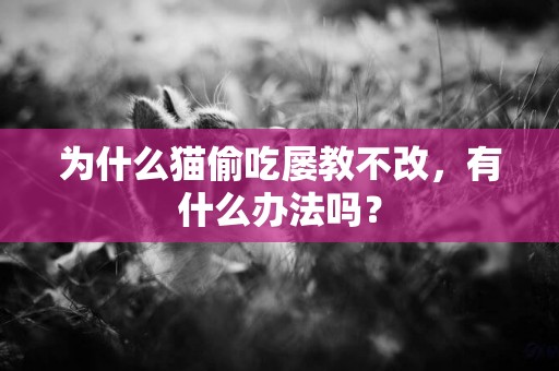 為什么貓偷吃屢教不改，有什么辦法嗎？