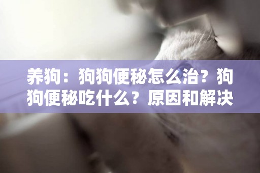 養狗：狗狗便秘怎么治？狗狗便秘吃什么？原因和解決方法都在這