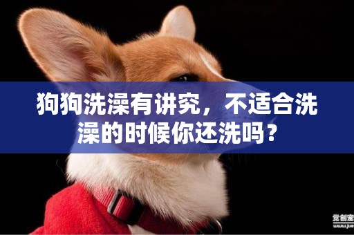 狗狗洗澡有講究，不適合洗澡的時候你還洗嗎？