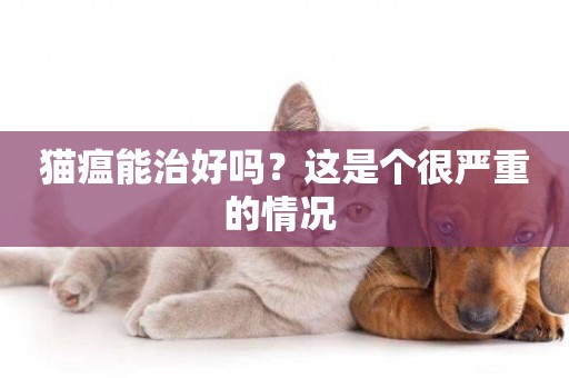 貓瘟能治好嗎？這是個很嚴重的情況 