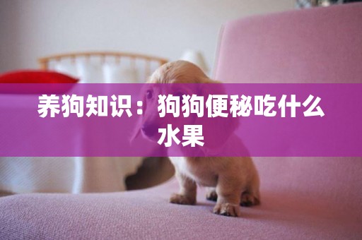 養狗知識：狗狗便秘吃什么水果