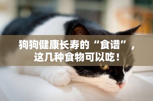狗狗健康長壽的“食譜”，這幾種食物可以吃！