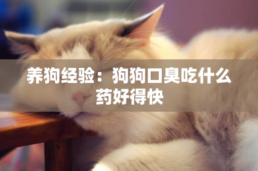 養狗經驗：狗狗口臭吃什么藥好得快