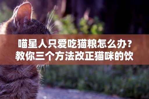 喵星人只愛吃貓糧怎么辦？教你三個方法改正貓咪的飲食習慣！