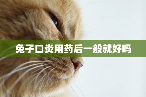 兔子口炎用藥后一般就好嗎