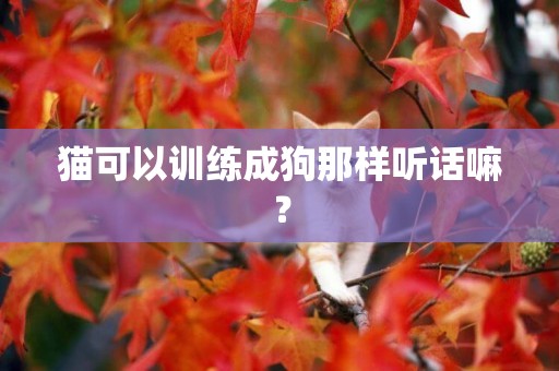 貓可以訓練成狗那樣聽話嘛？