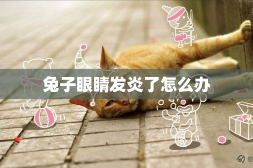 兔子眼睛發炎了怎么辦