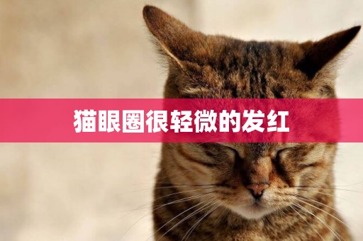 貓眼圈很輕微的發紅