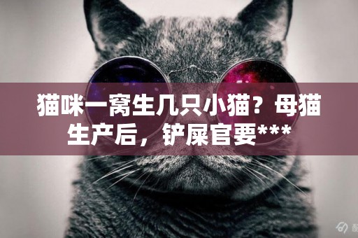 貓咪一窩生幾只小貓？母貓生產后，鏟屎官要***