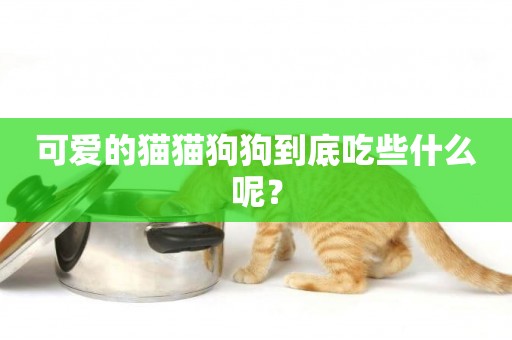 可愛的貓貓狗狗到底吃些什么呢？