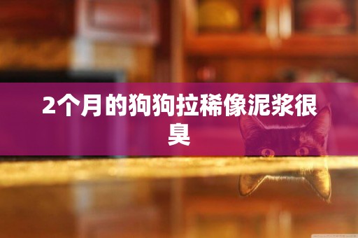 2個月的狗狗拉稀像泥漿很臭